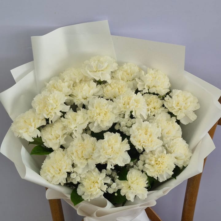 ช่อคาร์เนชั่นขาว 25 ดอก